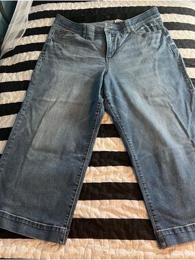 Terra & Sky Light Blue Wide-Leg Jeans (Ankle Jean)